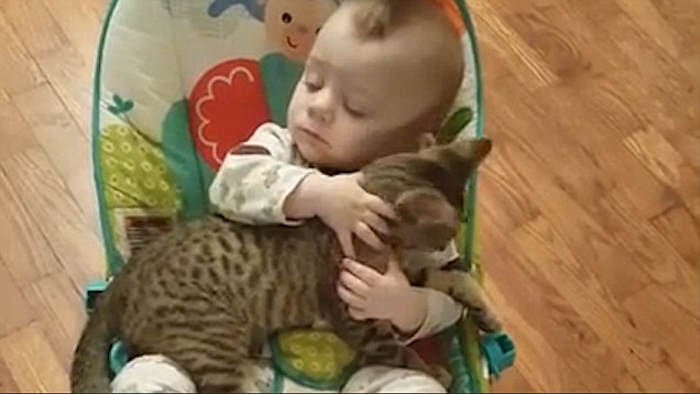 Baby won’t let go of his kitten best friend