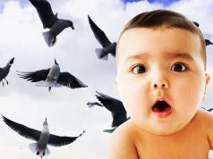 24 Baby Names That Are For The Birds … Or At Least Inspired By Them